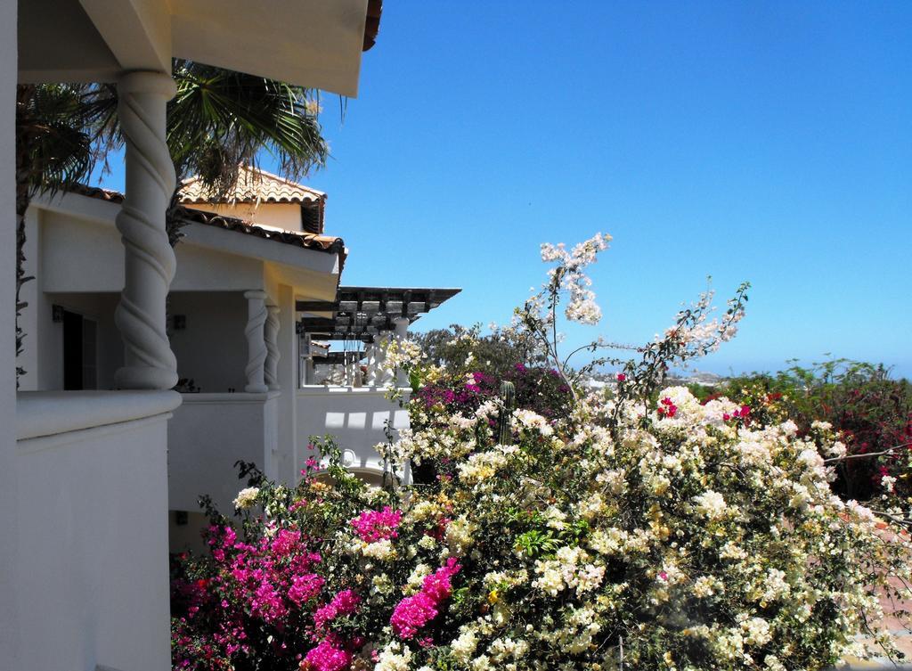 Los Cabos Golf Resort By Vri Resort Cabo San Lucas Exterior photo